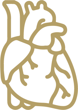 Cardiology