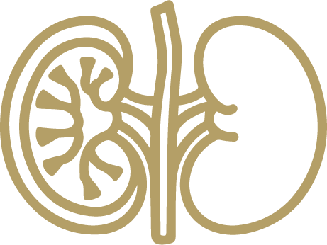 Nephrology