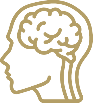 Neurophysiology