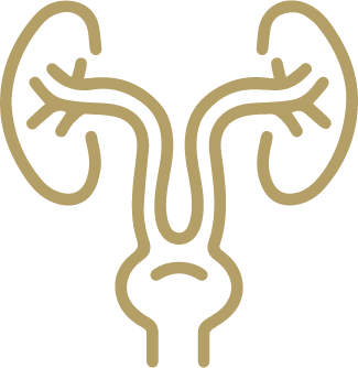 Urology