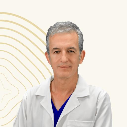 Prof. Huseyin Abali